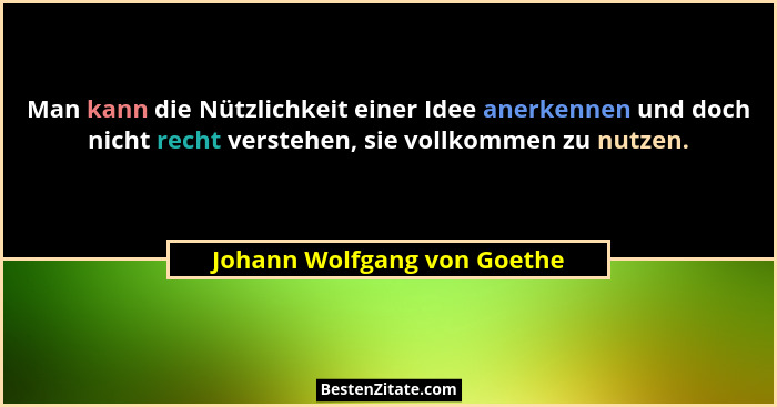 Man kann die Nützlichkeit einer Idee anerkennen und doch nicht recht verstehen, sie vollkommen zu nutzen.... - Johann Wolfgang von Goethe