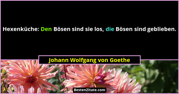 Hexenküche: Den Bösen sind sie los, die Bösen sind geblieben.... - Johann Wolfgang von Goethe