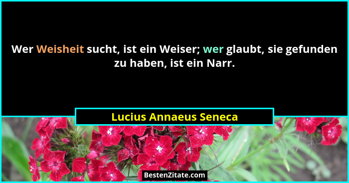 Wer Weisheit sucht, ist ein Weiser; wer glaubt, sie gefunden zu haben, ist ein Narr.... - Lucius Annaeus Seneca