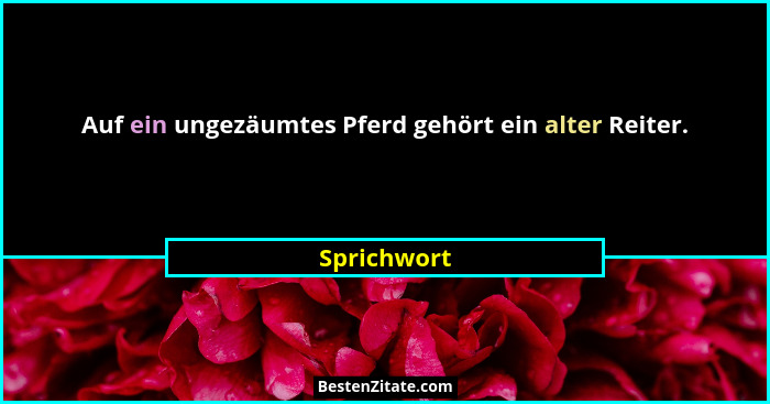 Auf ein ungezäumtes Pferd gehört ein alter Reiter.... - Sprichwort