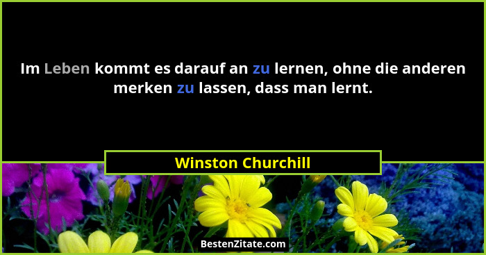 Im Leben kommt es darauf an zu lernen, ohne die anderen merken zu lassen, dass man lernt.... - Winston Churchill