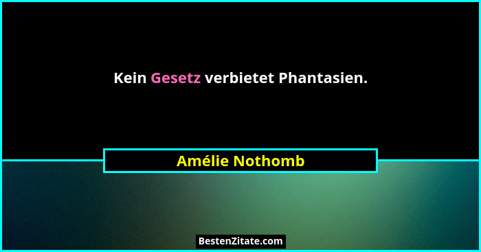 Kein Gesetz verbietet Phantasien.... - Amélie Nothomb