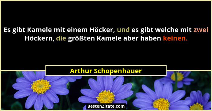 Es gibt Kamele mit einem Höcker, und es gibt welche mit zwei Höckern, die größten Kamele aber haben keinen.... - Arthur Schopenhauer