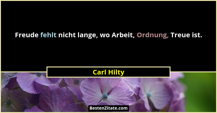 Freude fehlt nicht lange, wo Arbeit, Ordnung, Treue ist.... - Carl Hilty
