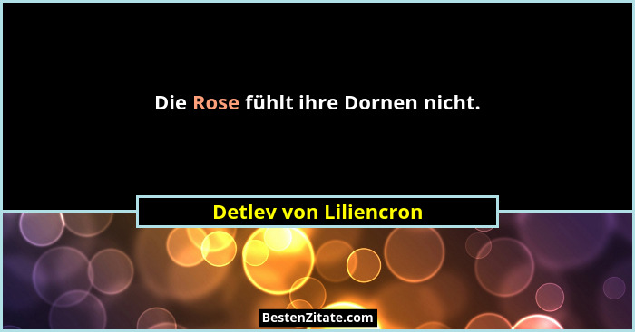 Die Rose fühlt ihre Dornen nicht.... - Detlev von Liliencron