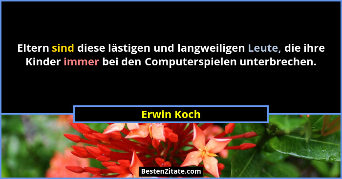 Eltern sind diese lästigen und langweiligen Leute, die ihre Kinder immer bei den Computerspielen unterbrechen.... - Erwin Koch