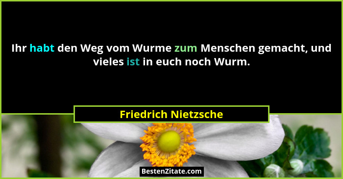 Ihr habt den Weg vom Wurme zum Menschen gemacht, und vieles ist in euch noch Wurm.... - Friedrich Nietzsche