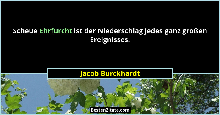Scheue Ehrfurcht ist der Niederschlag jedes ganz großen Ereignisses.... - Jacob Burckhardt