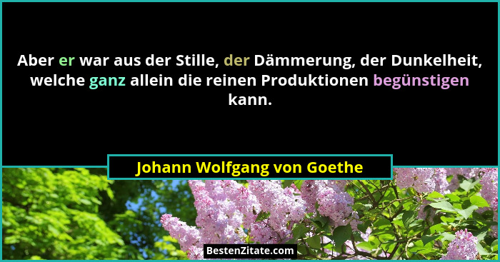 Aber er war aus der Stille, der Dämmerung, der Dunkelheit, welche ganz allein die reinen Produktionen begünstigen kann.... - Johann Wolfgang von Goethe