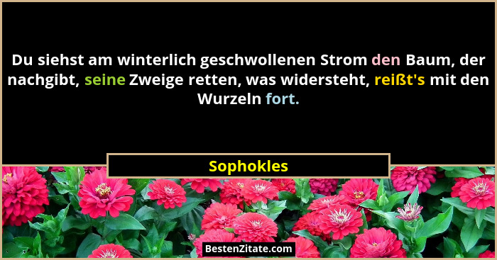 Du siehst am winterlich geschwollenen Strom den Baum, der nachgibt, seine Zweige retten, was widersteht, reißt's mit den Wurzeln fort.... - Sophokles