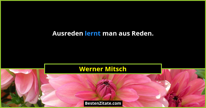 Ausreden lernt man aus Reden.... - Werner Mitsch
