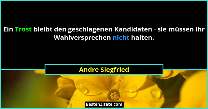 Ein Trost bleibt den geschlagenen Kandidaten - sie müssen ihr Wahlversprechen nicht halten.... - Andre Siegfried