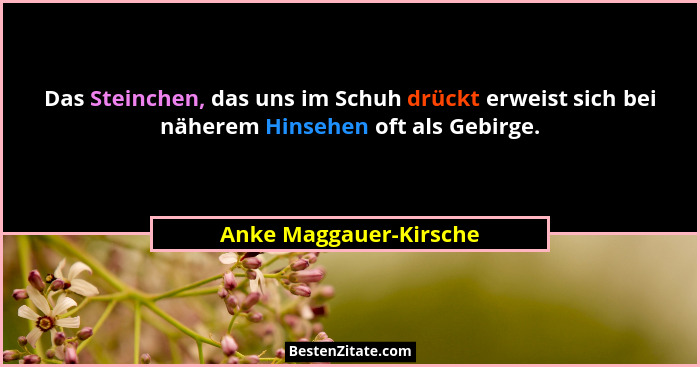 Das Steinchen, das uns im Schuh drückt erweist sich bei näherem Hinsehen oft als Gebirge.... - Anke Maggauer-Kirsche