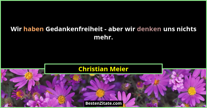 Wir haben Gedankenfreiheit - aber wir denken uns nichts mehr.... - Christian Meier