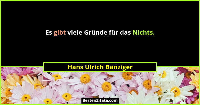 Es gibt viele Gründe für das Nichts.... - Hans Ulrich Bänziger