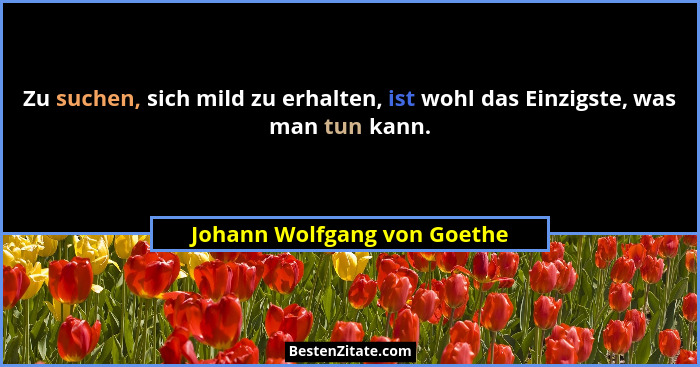 Zu suchen, sich mild zu erhalten, ist wohl das Einzigste, was man tun kann.... - Johann Wolfgang von Goethe