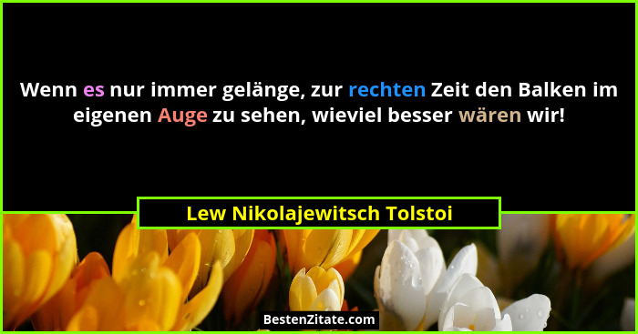 Wenn es nur immer gelänge, zur rechten Zeit den Balken im eigenen Auge zu sehen, wieviel besser wären wir!... - Lew Nikolajewitsch Tolstoi