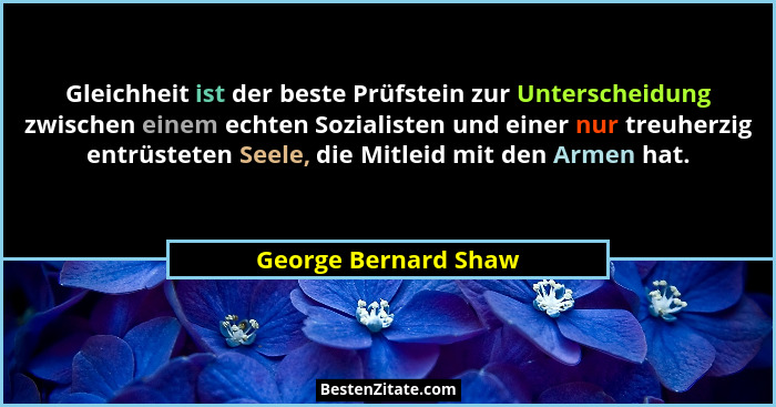 Gleichheit ist der beste Prüfstein zur Unterscheidung zwischen einem echten Sozialisten und einer nur treuherzig entrüsteten See... - George Bernard Shaw