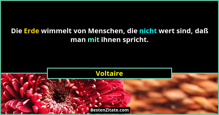 Die Erde wimmelt von Menschen, die nicht wert sind, daß man mit ihnen spricht.... - Voltaire