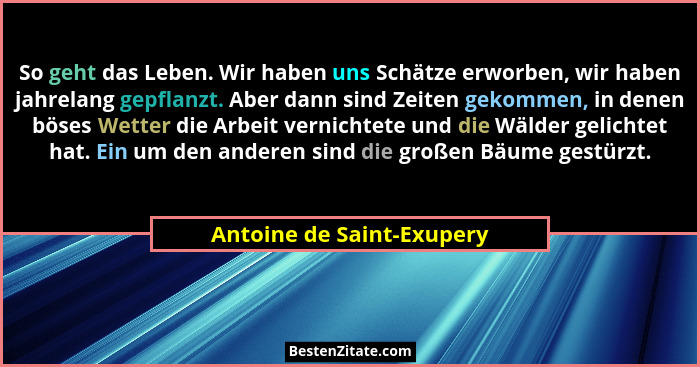 So geht das Leben. Wir haben uns Schätze erworben, wir haben jahrelang gepflanzt. Aber dann sind Zeiten gekommen, in denen... - Antoine de Saint-Exupery