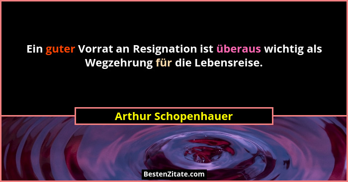 Ein guter Vorrat an Resignation ist überaus wichtig als Wegzehrung für die Lebensreise.... - Arthur Schopenhauer