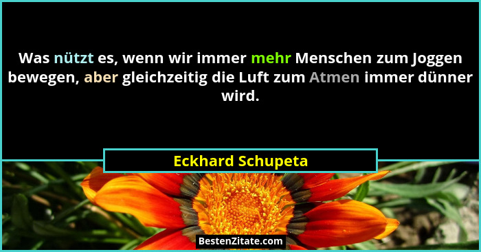 Was nützt es, wenn wir immer mehr Menschen zum Joggen bewegen, aber gleichzeitig die Luft zum Atmen immer dünner wird.... - Eckhard Schupeta