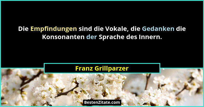 Die Empfindungen sind die Vokale, die Gedanken die Konsonanten der Sprache des Innern.... - Franz Grillparzer