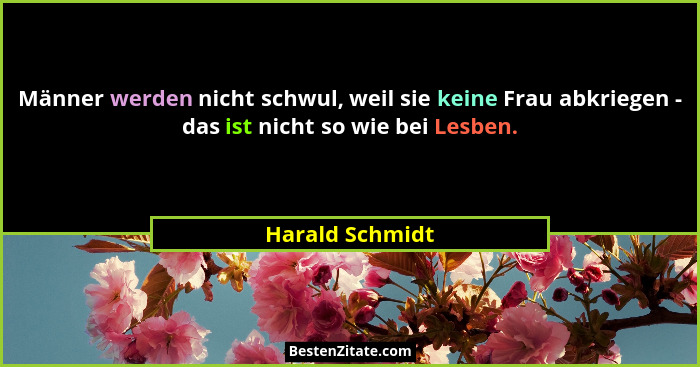 Männer werden nicht schwul, weil sie keine Frau abkriegen - das ist nicht so wie bei Lesben.... - Harald Schmidt