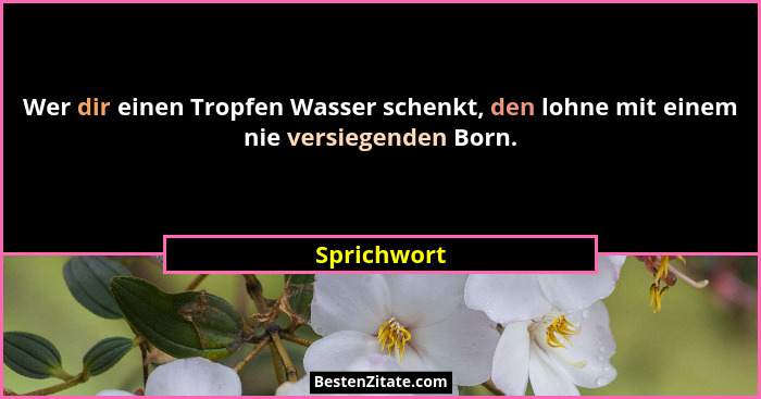 Wer dir einen Tropfen Wasser schenkt, den lohne mit einem nie versiegenden Born.... - Sprichwort