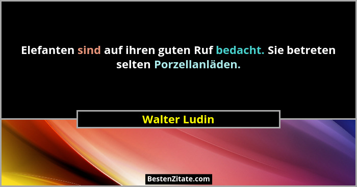 Elefanten sind auf ihren guten Ruf bedacht. Sie betreten selten Porzellanläden.... - Walter Ludin