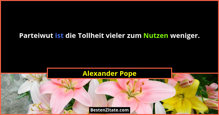 Parteiwut ist die Tollheit vieler zum Nutzen weniger.... - Alexander Pope