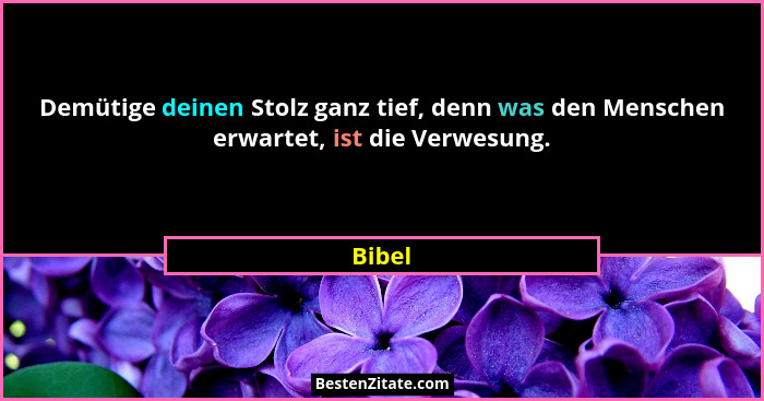 Demütige deinen Stolz ganz tief, denn was den Menschen erwartet, ist die Verwesung.... - Bibel