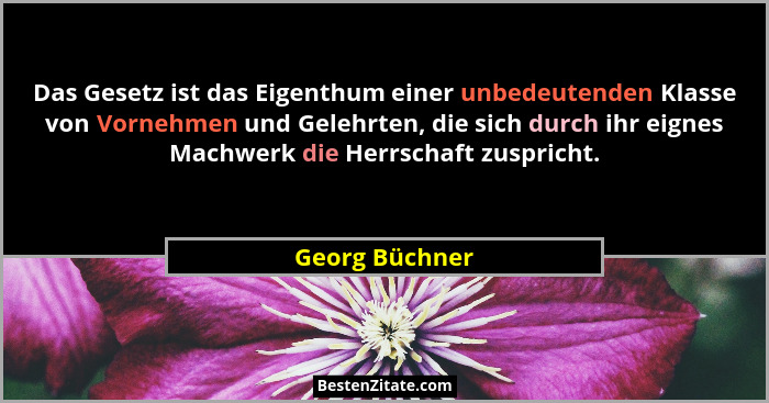 Das Gesetz ist das Eigenthum einer unbedeutenden Klasse von Vornehmen und Gelehrten, die sich durch ihr eignes Machwerk die Herrschaft... - Georg Büchner