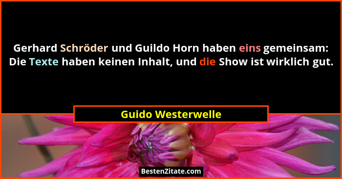 Gerhard Schröder und Guildo Horn haben eins gemeinsam: Die Texte haben keinen Inhalt, und die Show ist wirklich gut.... - Guido Westerwelle
