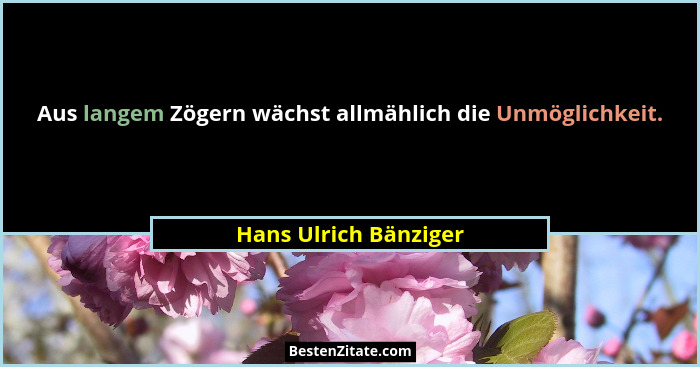 Aus langem Zögern wächst allmählich die Unmöglichkeit.... - Hans Ulrich Bänziger