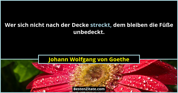 Wer sich nicht nach der Decke streckt, dem bleiben die Füße unbedeckt.... - Johann Wolfgang von Goethe