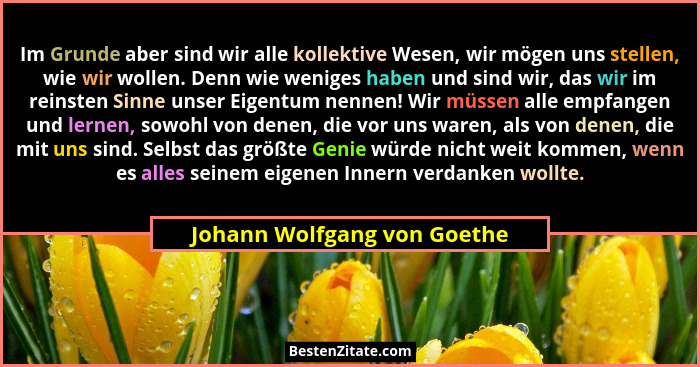 Im Grunde aber sind wir alle kollektive Wesen, wir mögen uns stellen, wie wir wollen. Denn wie weniges haben und sind wir... - Johann Wolfgang von Goethe