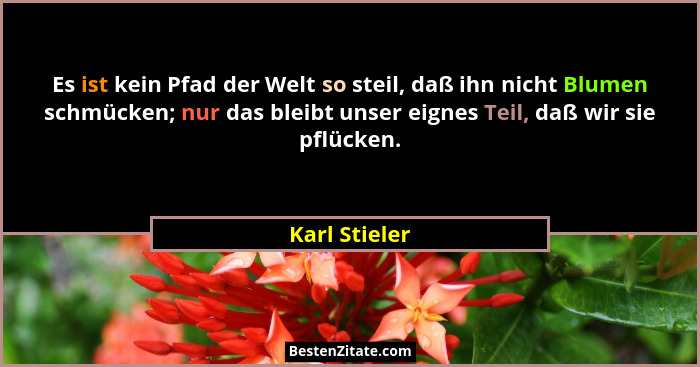 Es ist kein Pfad der Welt so steil, daß ihn nicht Blumen schmücken; nur das bleibt unser eignes Teil, daß wir sie pflücken.... - Karl Stieler