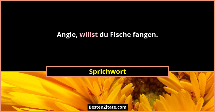 Angle, willst du Fische fangen.... - Sprichwort