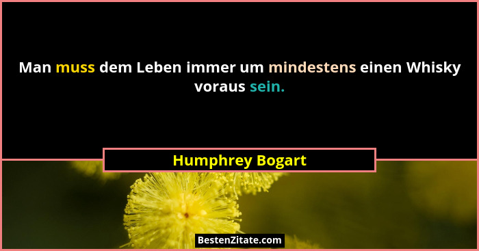 Humphrey Bogart Man Muss Dem Leben Immer Um Mindestens Ein