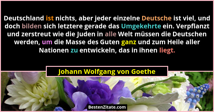 Deutschland ist nichts, aber jeder einzelne Deutsche ist viel, und doch bilden sich letztere gerade das Umgekehrte ein. V... - Johann Wolfgang von Goethe