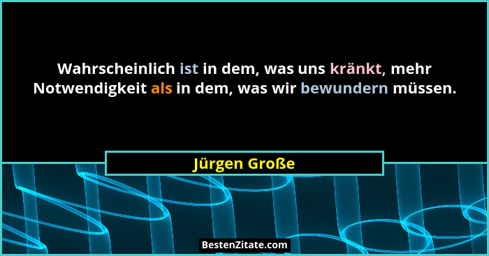 Wahrscheinlich ist in dem, was uns kränkt, mehr Notwendigkeit als in dem, was wir bewundern müssen.... - Jürgen Große