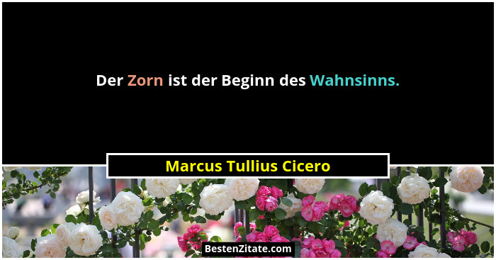 Der Zorn ist der Beginn des Wahnsinns.... - Marcus Tullius Cicero