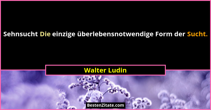 Sehnsucht Die einzige überlebensnotwendige Form der Sucht.... - Walter Ludin