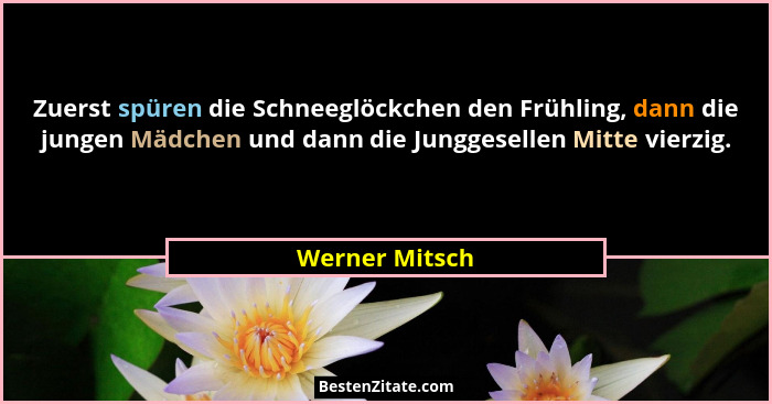 Zuerst spüren die Schneeglöckchen den Frühling, dann die jungen Mädchen und dann die Junggesellen Mitte vierzig.... - Werner Mitsch