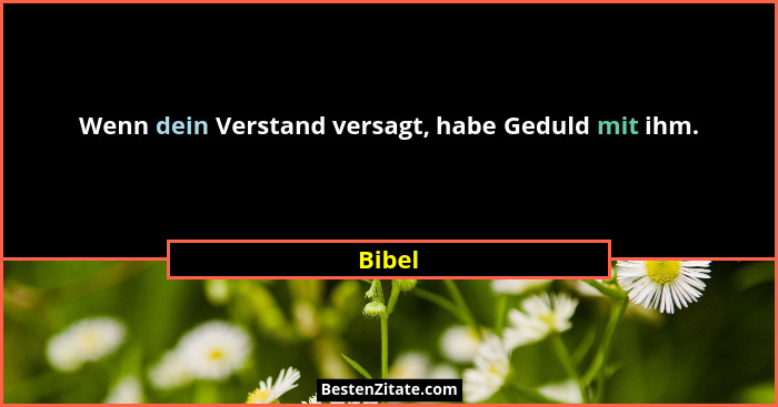 Wenn dein Verstand versagt, habe Geduld mit ihm.... - Bibel