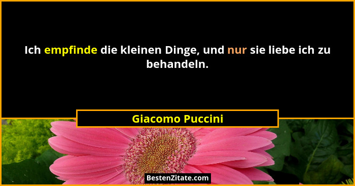 Ich empfinde die kleinen Dinge, und nur sie liebe ich zu behandeln.... - Giacomo Puccini