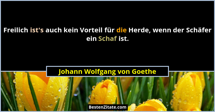 Freilich ist's auch kein Vorteil für die Herde, wenn der Schäfer ein Schaf ist.... - Johann Wolfgang von Goethe