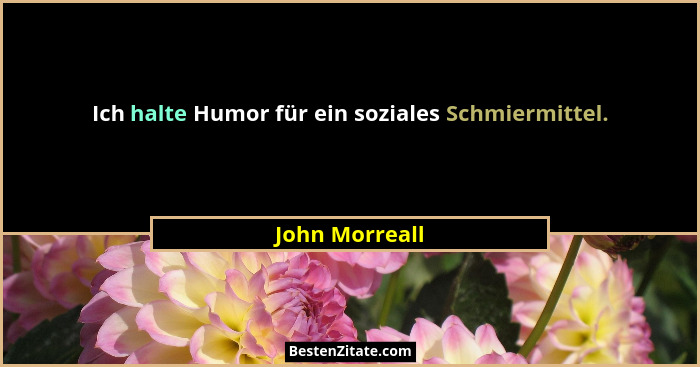 Ich halte Humor für ein soziales Schmiermittel.... - John Morreall