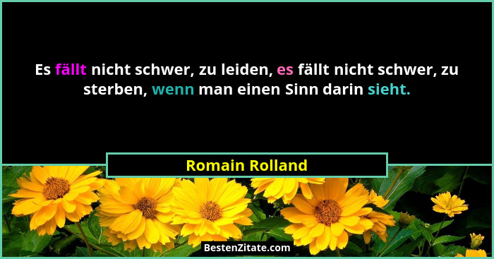 Es fällt nicht schwer, zu leiden, es fällt nicht schwer, zu sterben, wenn man einen Sinn darin sieht.... - Romain Rolland